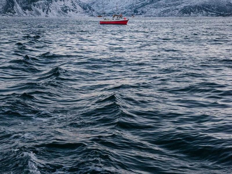 Redis ile Dağıtık Önbellekleme ve Rate Limiting