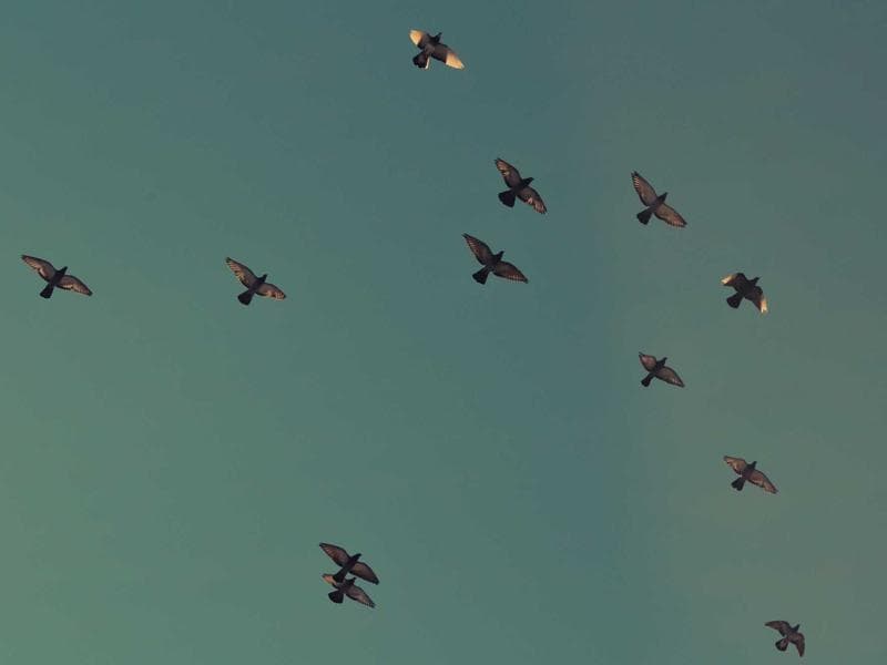 Kotlin Multiplatform ile Kod Paylaşımı: Modern Yazılım Geliştirmenin Geleceği