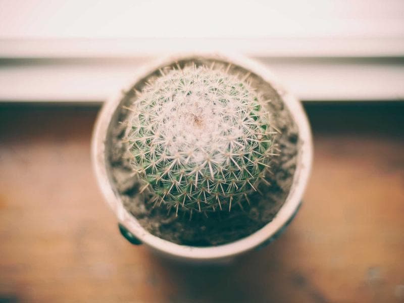 Knative ile Kubernetes Üzerinde Serverless Çalıştırma