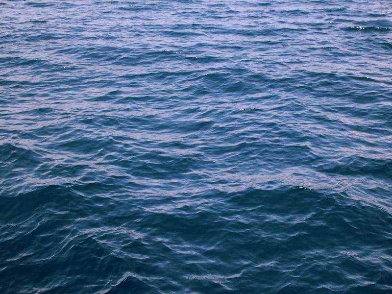 NoSQL Veritabanı Seçimi: MongoDB vs Cassandra vs DynamoDB