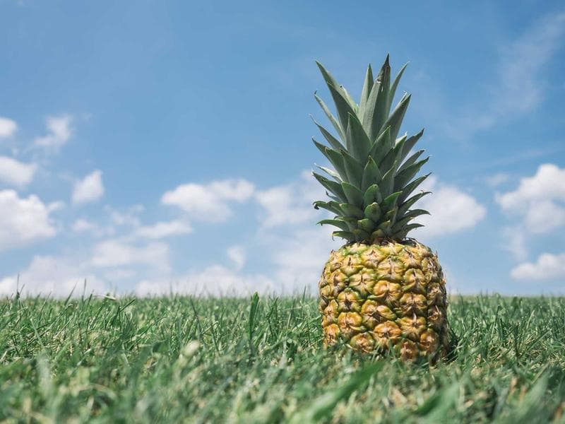 Ansible ile Otomatik Sunucu Yapılandırması ve Konfigürasyon