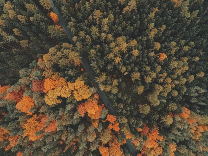 React, Vue ve Angular: Kapsamlı Karşılaştırma ve Seçim Rehberi